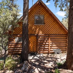 Brill Bear Cabin in Big Bear
