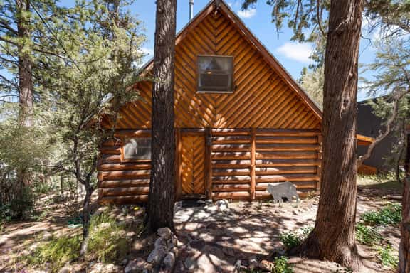 Brill Bear Cabin in Big Bear - Image 1